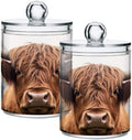 4 Pack Apothecary Jars Bathroom Highland Cow Qtip Holder Dispenser Clear by Unknown