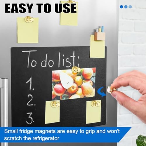 LOVIMAG Fridge Magnets 16Pcs, Magnet - Image 5