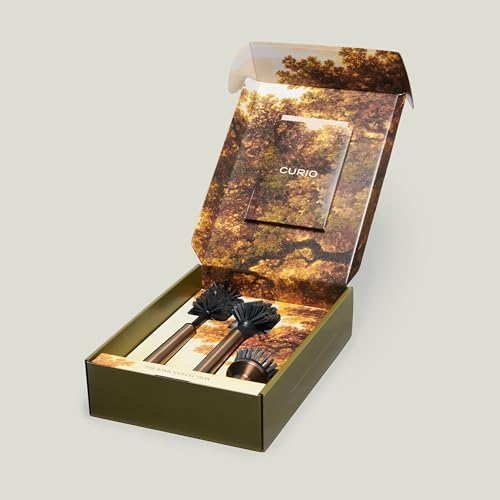 Curio Home Goods Ionic Brush Set, Onyx/Black - Image 6