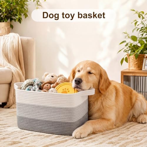 OIAHOMY Cotton Rope Storage Baskets - Image 4