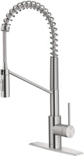 KRAUS Oletto Commercial Style Single Handle Pull Down Kitchen Faucet by Unknown