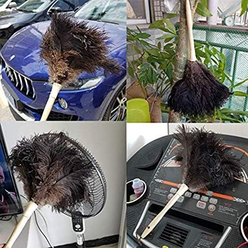 DDZMZ Ostrich Feather Duster for Cleaning - Image 9