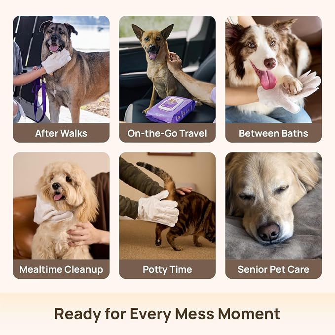 HICC PET Dog Wipes for Dogs & Cats, Individual Glove Packs, Head-to-Tail - Image 5