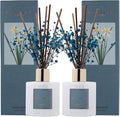 Premium Reed Diffuser Set with Preserved Baby's Breath & Cotton Stick Cashmere by COCORR%C3%8DNA