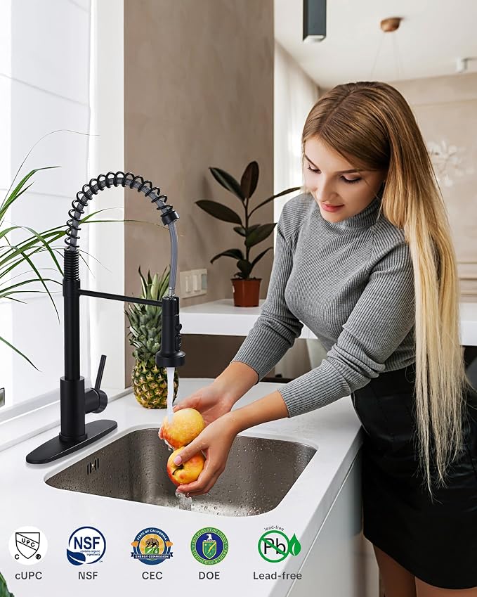 Kitchen Faucets with Pull Down Sprayer: Matte Black 3-Function Kitchen Sink - Image 2