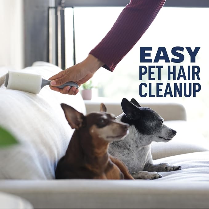 Scotch-Brite Everyday Clean Lint Roller, Scotch Brand Adhesive, Pet Hair & Lint - Image 3